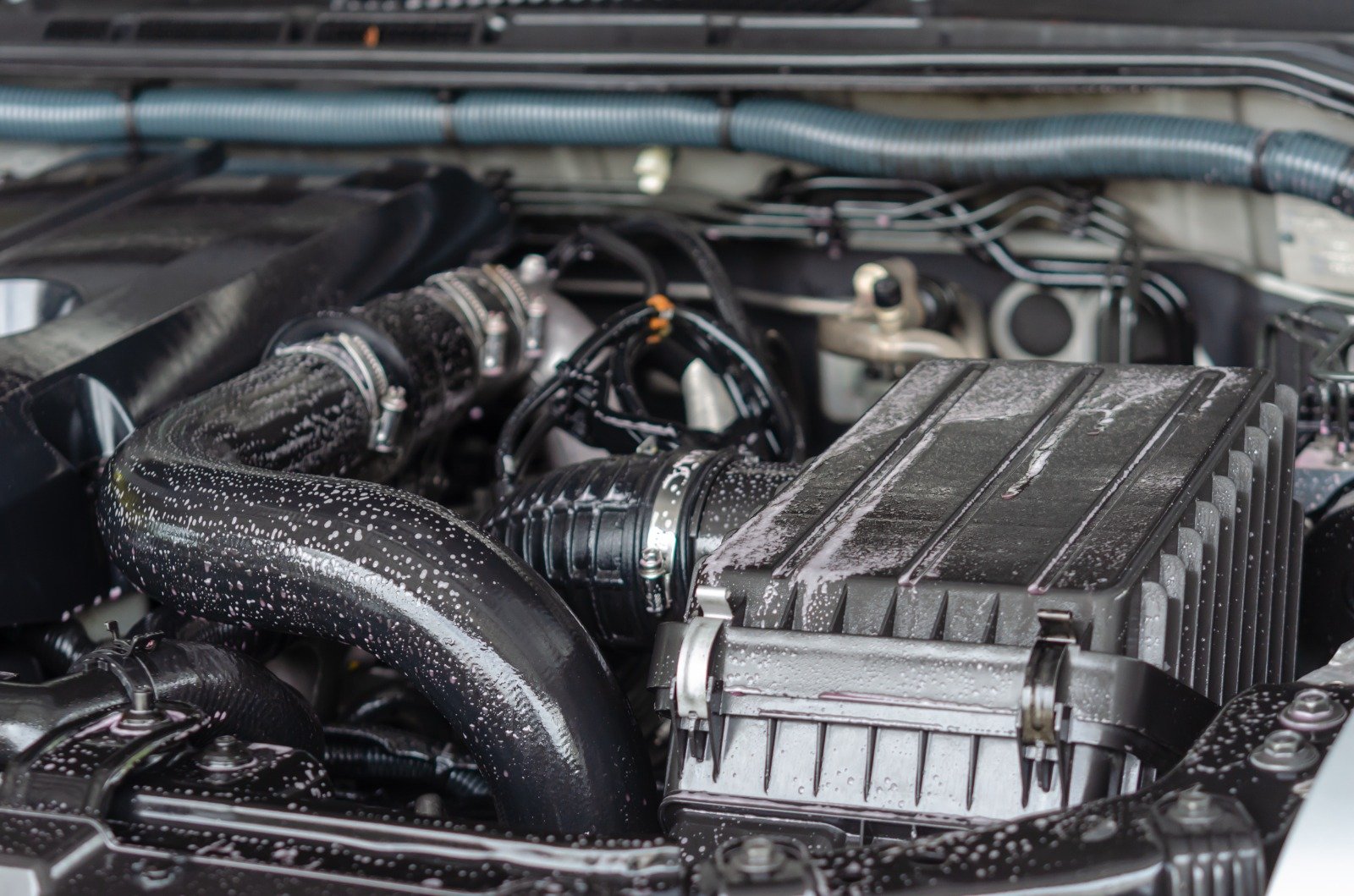 WhatsApp Image 2026 01 19 at 4.40.17 AM