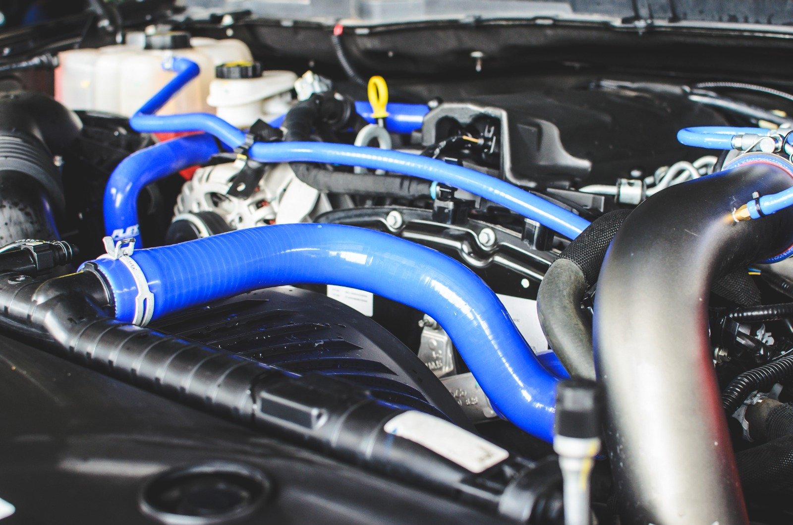 WhatsApp Image 2026 01 19 at 4.40.18 AM